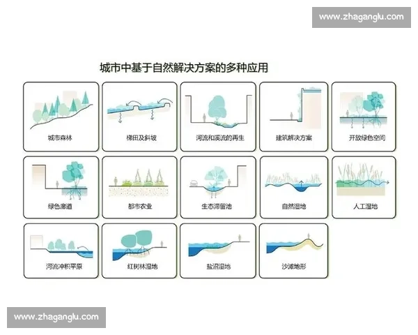 飓风vs极端天气对抗下的城市韧性与未来防灾挑战探索路径研究